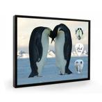 Pinguins plectrumdisplay, Verzamelen, Dierenverzamelingen, Ophalen of Verzenden, Nieuw, Wild dier, Overige typen