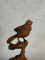 Beeld, Vogel op pompoen - 19 cm - Hout, buxus