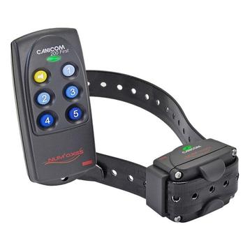 Honden trainingshalsband - met garantie! v.a. € 19,95 beschikbaar voor biedingen