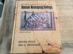 Fundamentals of human neuropsychology 9780716723875, Boeken, Verzenden, Gelezen, Bryan Kolb