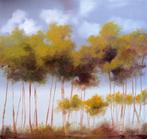 Guido Borelli - bosco uno