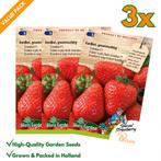 Aardbei Grandian F1 | Grootvruchtige doordrager | Zoete,, Tuin en Terras, Verzenden