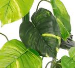 2dekans | Mica Decorations Caladium Kunstplant in Bloempot -, Huis en Inrichting, Ophalen of Verzenden, Zo goed als nieuw
