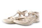 Skechers Sandalen in maat 39 Goud | 10% extra korting, Kleding | Dames, Schoenen, Skechers, Overige kleuren, Verzenden, Nieuw