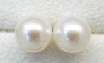 Zonder Minimumprijs - South Sea Pearls, Round 9,5 -10 mm -