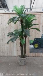 Kunst palmboom in pot, Nieuw