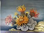 Jung Koch Quentell, anemoon - Schoolkaart - Linnen, Antiek en Kunst, Curiosa en Brocante