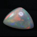 1 pcs Grijs, Meerkleurig, Zwart Opaal - 34.71 ct -, Sieraden, Tassen en Uiterlijk, Edelstenen, Nieuw