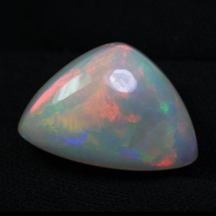 1 pcs Grijs, Meerkleurig, Zwart Opaal - 34.71 ct -, Sieraden, Tassen en Uiterlijk, Edelstenen