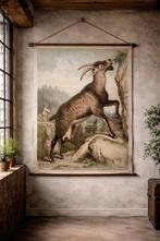 Leutemann and Schmidt - 100% Original 1878 lithographic