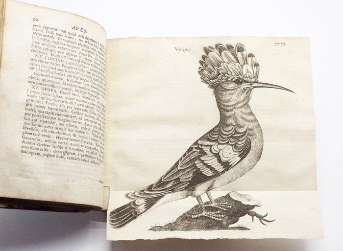 Charleton - Onomasticon Zoicon - 1668, Antiek en Kunst, Antiek | Boeken en Bijbels