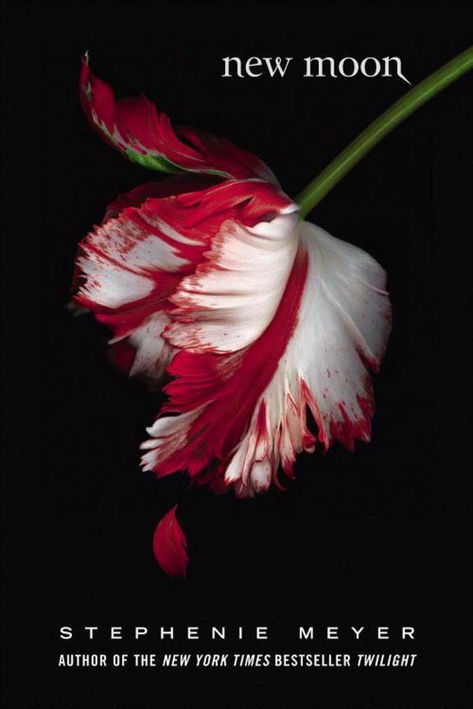 New Moon 9780316160193 Stephenie Meyer, Boeken, Taal | Engels, Zo goed als nieuw, Verzenden