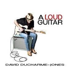 cd - David Ducharme-Jones - A Loud Guitar, Cd's en Dvd's, Cd's | Country en Western, Zo goed als nieuw, Verzenden
