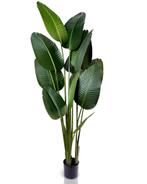 IvoQ Strelitzia Kunstplant – 180 cm Hoog – Realistisch & Ond, Huis en Inrichting, Verzenden, Nieuw, Buiten