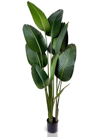 IvoQ Strelitzia Kunstplant – 180 cm Hoog – Realistisch & Ond beschikbaar voor biedingen