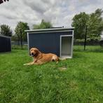 Hondenhok Geïsoleerd. Onderhoudsvrij! 2j GARANTIE Nachthok, Dieren en Toebehoren, Hondenhokken, 110 cm of meer, 65 tot 100 cm