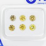 6 pcs Diamant (Kleurbehandeld) - 0.98 ct - Rond - Fancy,, Nieuw