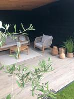 keramische tegels terrastegels houtlook oak 26x180x2 cm, Nieuw, Keramiek, 10 m² of meer, Terrastegels