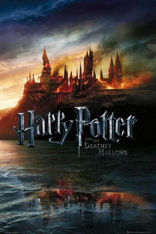 Poster Harry Potter 7 Teaser 61x91,5cm, Verzamelen, Posters, Nieuw, A1 t/m A3, Verzenden