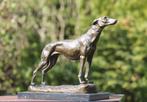 sculptuur, staande greyhound - 25 cm - brons marmer, Antiek en Kunst