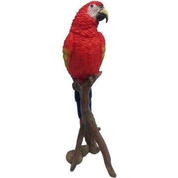 Dierenbeeld rode papegaai op stam 30 cm - Tuinbeelden deco..