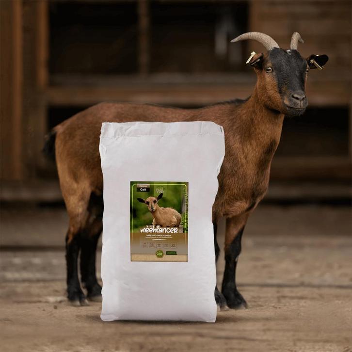 Mèèhlancer - Balancer voor geiten - Geitenvoer, Dieren en Toebehoren, Schapen, Geiten en Varkens, Geit