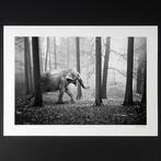 Frank Machalowski - tierwald#115