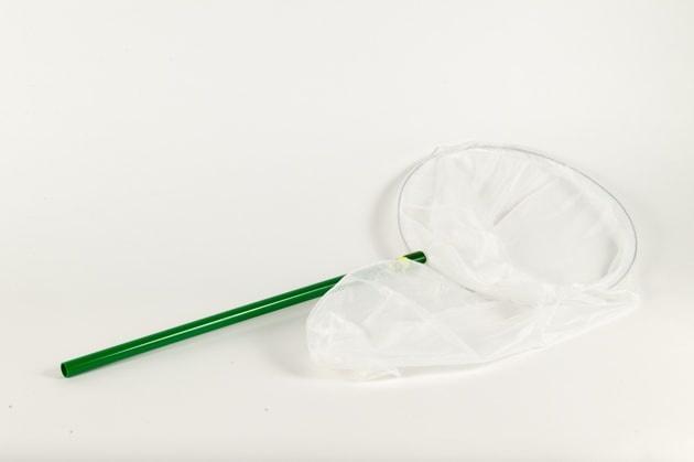 Vangnet 30 cm - Vangnetten - Benodigdheden - Overig, Dieren en Toebehoren, Vogels | Toebehoren, Nieuw, Verzenden