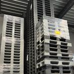 Kunststof pallets | Nieuw | Groot aanbod | Scherpe prijzen, Nieuw