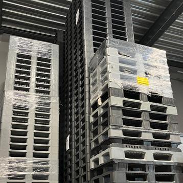 Kunststof pallets | Nieuw | Groot aanbod | Scherpe prijzen beschikbaar voor biedingen