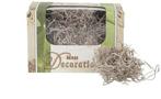 Tillandsia Junglemos Spaansmos Forestmos Naturel 50 gram, Ophalen of Verzenden, Nieuw