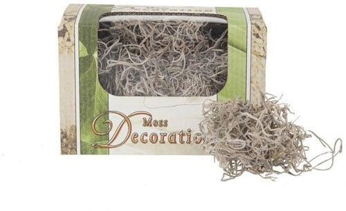 Tillandsia Junglemos Spaansmos Forestmos Naturel 50 gram, Hobby en Vrije tijd, Knutselen, Nieuw, Ophalen of Verzenden