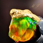 Premium - 171 karaat - natuurlijke kristalopale AAA+++ -