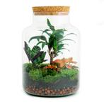DIY terrarium - Milky Palm -  30 cm, Verzenden