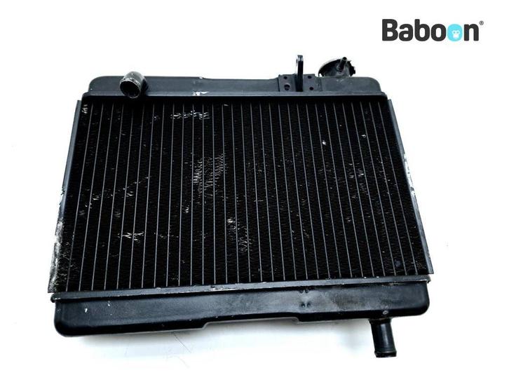 Radiateur Husaberg FX 400 FE, Motoren, Onderdelen | Overige, Gebruikt, Verzenden