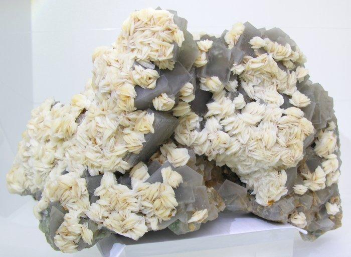 Fluoriet Kristal op matrix - Hoogte: 27 cm - Breedte: 16 cm-, Verzamelen, Mineralen en Fossielen