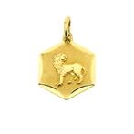 Gouden sterrenbeeld hanger; Leeuw (astrologie, 585), Ophalen of Verzenden, Gebruikt, Goud, Overige merken
