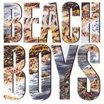 LP gebruikt - The Beach Boys - The Beach Boys, Zo goed als nieuw, Verzenden