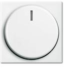 ABB Busch-Jaeger Balance SI Regelelement/Centrale plaat, Doe-het-zelf en Verbouw, Elektra en Kabels, Verzenden, Nieuw, Overige typen