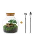 DIY terrarium - Little Joe -  21,5 cm, Huis en Inrichting, Kamerplanten, Verzenden