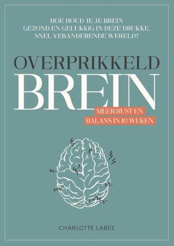 Overprikkeld brein - Charlotte Labee - 9789043924887 beschikbaar voor biedingen