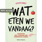 Wat eten we vandaag? 9789048307272 Sylvia Gabet, Verzenden, Zo goed als nieuw, Sylvia Gabet