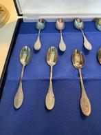 Theelepel (12) - Zilver