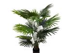 Veiling - Kunstplant Fan Palm 180 cm, Huis en Inrichting, Nieuw
