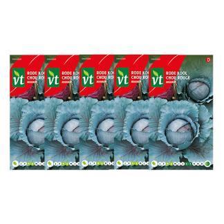 Rode kool zaad  | VT | 5 stuks, Tuin en Terras, Bloembollen en Zaden, Verzenden