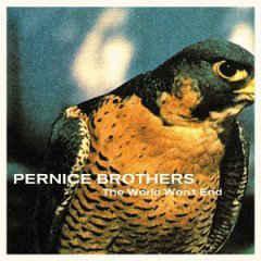 cd - Pernice Brothers - The World Wont End, Cd's en Dvd's, Cd's | Overige Cd's, Zo goed als nieuw, Verzenden