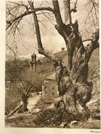 [Collectif] Henri de Régnier / Claude Farrère / Paul Fort /