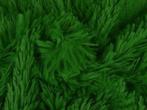 Langharig bont stof – Groen, 120 cm of meer, Ophalen of Verzenden, Polyester, Groen