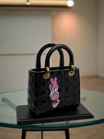 Art Stray-Nos -  Minnie sempare du sac Dior
