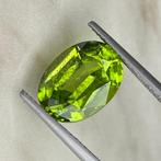 Zonder Minimumprijs Groen Olivijn - 5.51 ct - nternational, Sieraden, Tassen en Uiterlijk, Edelstenen, Nieuw